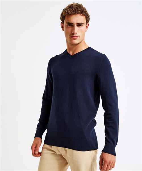 Men's cotton blend v-neck sweater
